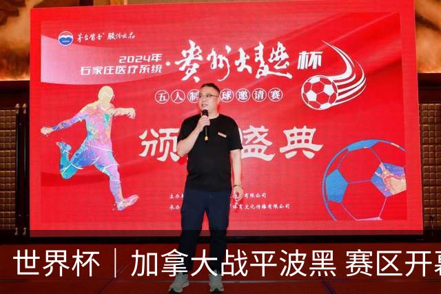 世界杯｜加拿大战平波黑 赛区开幕式表演“翻车”